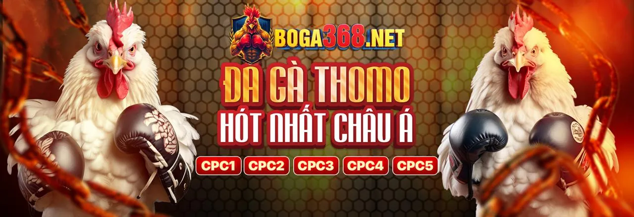 Đá gà kịch tính tại Kuwin789 chính thức
